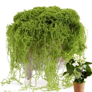 SHENERDA Fake Moss 300g Realistic Faux Greenery Fake Green Moss for Terrarium Planter Vase Succulents Home Wall Christmas Wedding Holiday Outdoor Fall Winter Party Aquarium competent