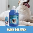 thumbnail image 4 of Champú para Perros Bio-Groom Sin Agua y Sin Enjuague Spray 240ml, 4 of 6