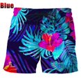 thumbnail image 1 of Pantalones cortos de playa Hawaianos para hombre, bañadores de secado rápido con estampado 3d de palmeras, divertidos Fivean unisex, 1 of 2