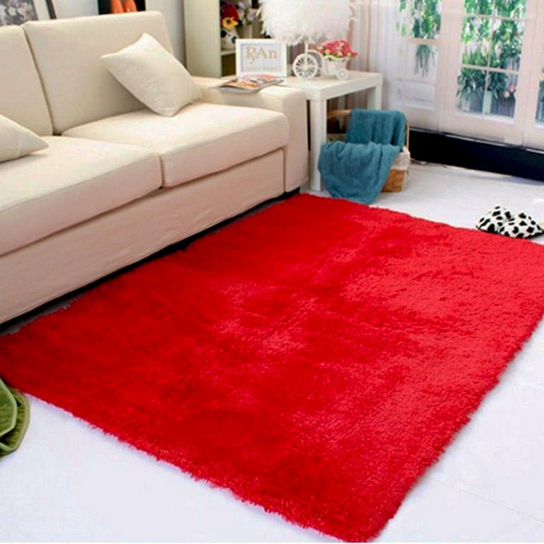 Fannyc Fluffy Fuzzy Area Rugs for Bedroom Bedside Small Shag Carpet Machine Washable Non-Slip Rug Rectangle Floor Mat for Front Door,Entrance,Garage