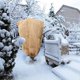 thumbnail image 2 of 4PCS Winter Burlap Plant Cover Bag with Drawstring ,Cold Freeze Protection Cover Bags Tree Freeze Blanket for Outdoor, 2 of 5