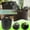 Black, variant on TERGAYEE Plant Grow Bags,Aeration Nonwoven Fabric Plant Pots with Handles,Plant Container for Outdoor Tomato,Potato,Chili,Carrot and Vegetable