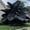 Elephant Ear-D, variant on Giant Elephant Ear Taro — A Gardening Essential— The Premier Choice for Tropical Landscaping — (Non-Artificial)-- Adds a Fresh, Natural Accent to Yards and Pathways —