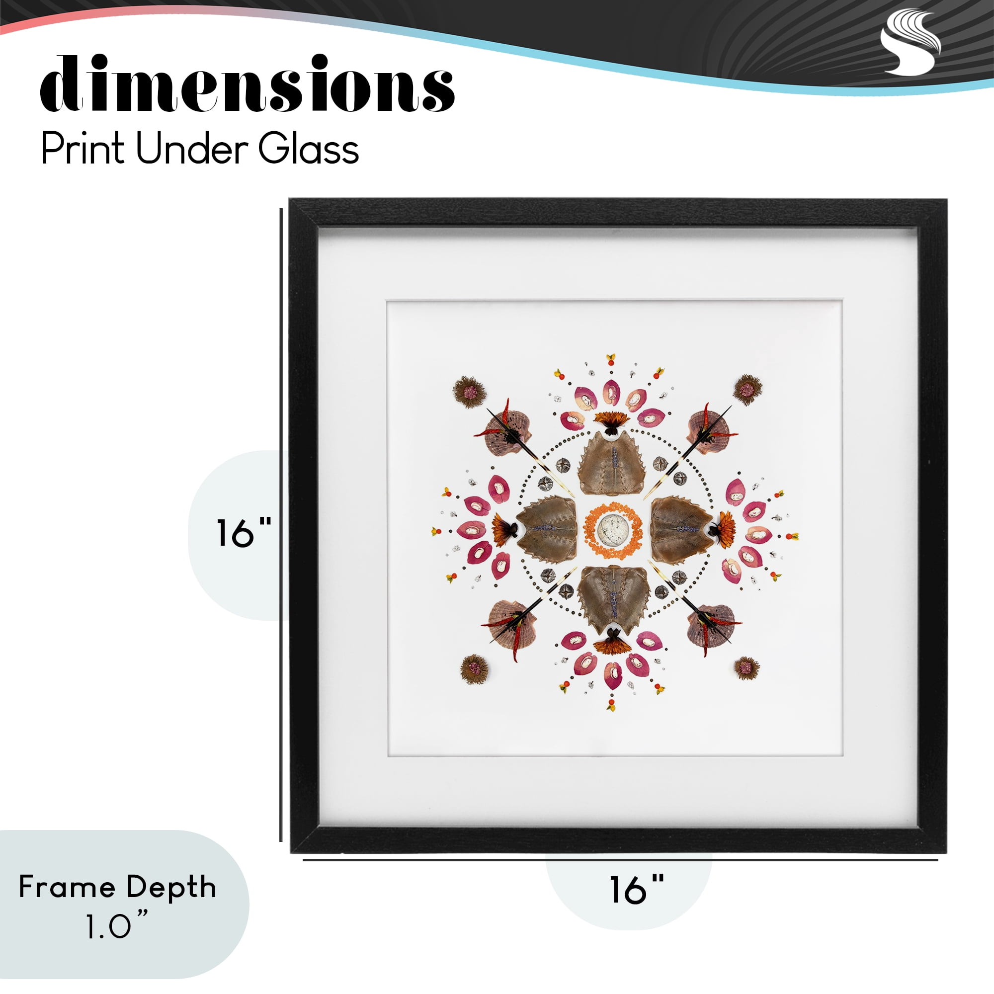 Stupell Industries Symmetrical Nautical Collection Black Framed Print Under Glass, design by Beth Adoette