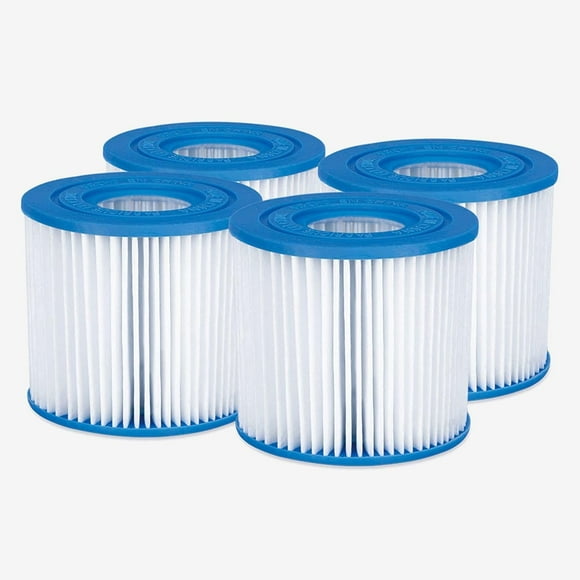 FANNGYX 4-Pack Type D Pool Filter Cartridges ,Replacement for Funsicle Pool Filters (Compatible with Adult-Sized Pools) LG618-582