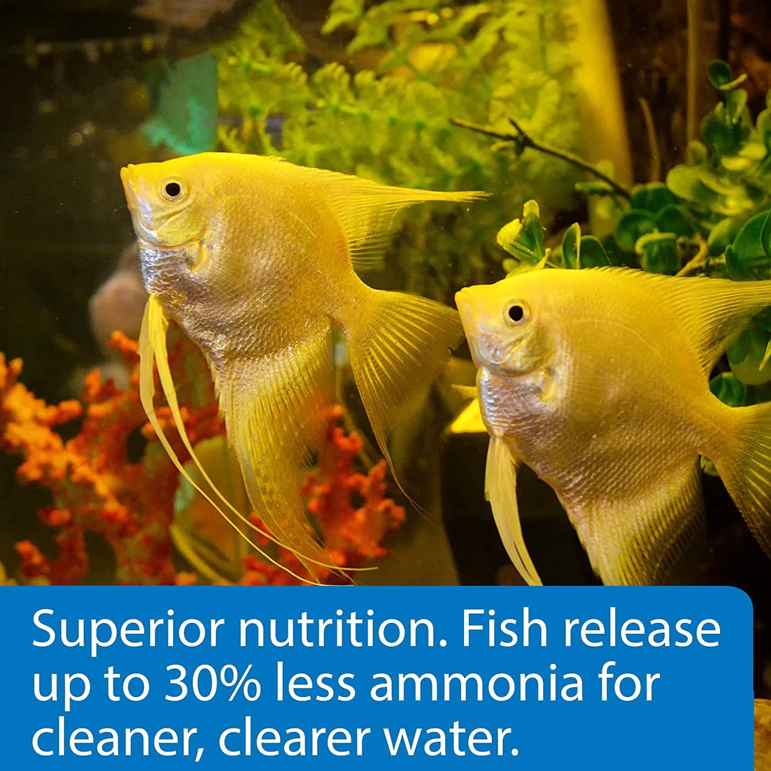 API Tropical Flakes Fish Food [Aquarium Tropical Fish Food, Aquarium Supplies] 2.16 oz (6 x 0.36 oz)