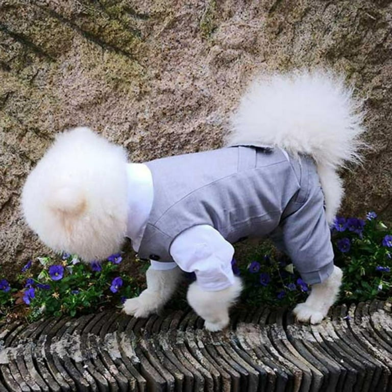 Dog party shirt discount
