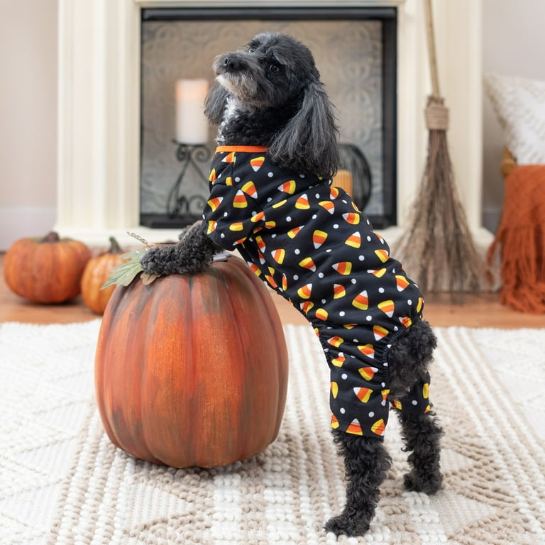 Vibrant Life Dog and Cat Clothes, Candy Corn Halloween Pet Pajama, Black,  Small