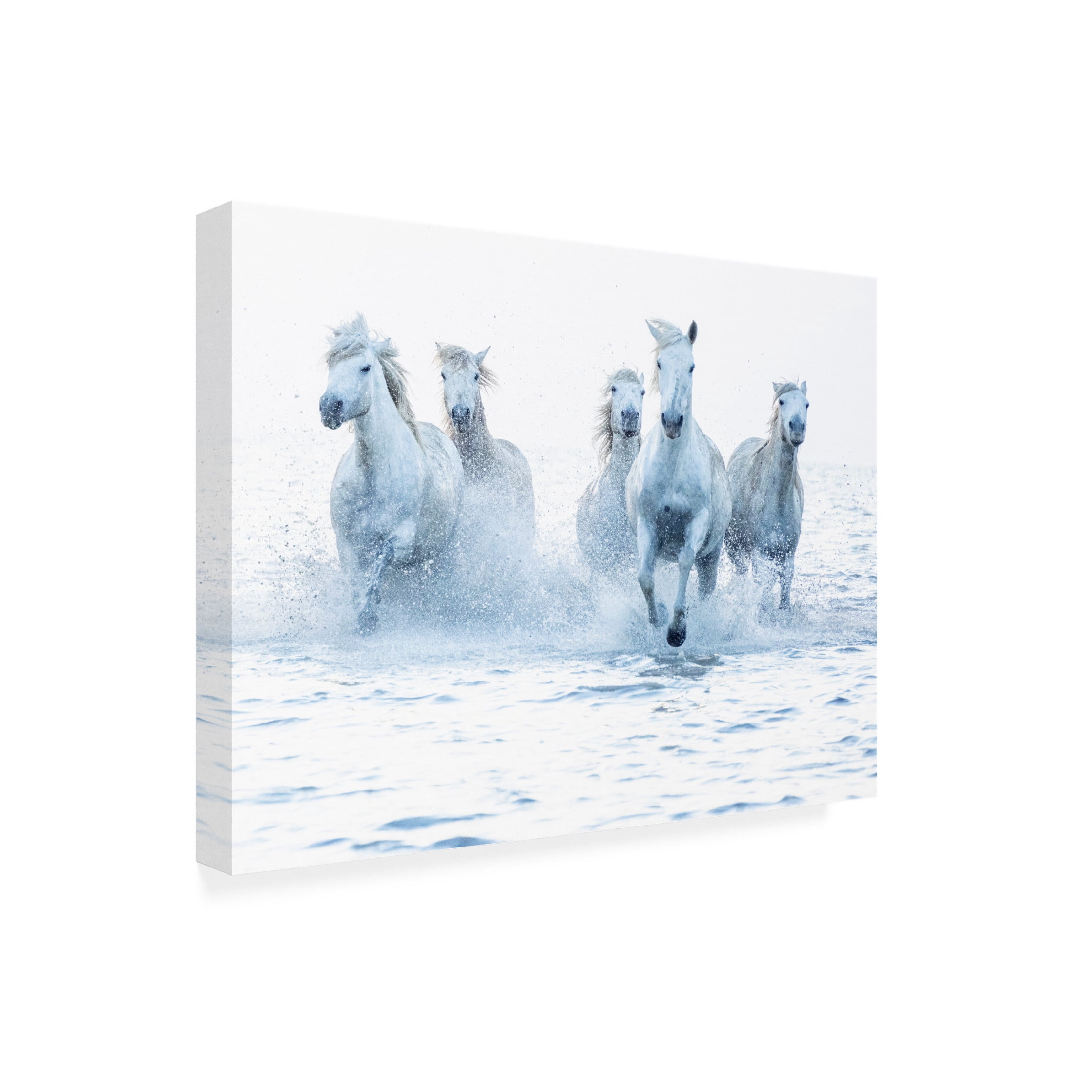 Trademark Fine Art Marketa Zvelebil PhD Horses on the Run Canvas Wall Art