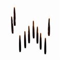 thumbnail image 1 of Bougie LED 10CT(Lot de 1), 1 of 1