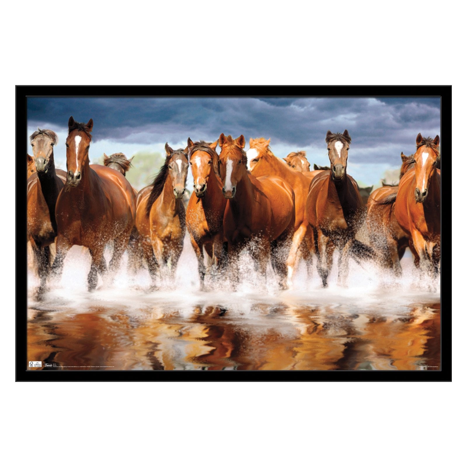 Trends International Horses Wall Poster 22.375" x 34"
