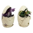 thumbnail image 5 of Colorful Fantasy Egg Hatchling Baby Dragon Wyrmling LED Light Figurines Set of 2, 5 of 6