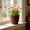 #311-Coffee, variant on Cheapark Round Flower Pot Rattan Look Planter Small Size Plastic Pot for Home Decor Succulent Greenery Plant Container Gift