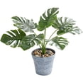 thumbnail image 1 of Simulación De Tortuga, Hoja Trasera, Planta En Maceta, Flor Falsa, Planta Verde, Hoja, Bonsái, Decoración Del Hogar, Adornos matsuzay HA023480-00, 1 of 7