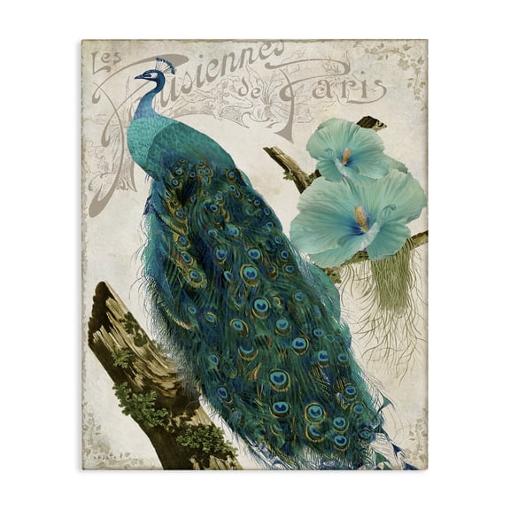 Stupell Industries Traditional Vintage Parisian Peacock Patterned Bird Blue Hibiscus Flower Canvas Art, 16 x 20, by Sophie 6