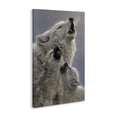 thumbnail image 3 of Stupell Industries Singing Lessons White Wolves Canvas Wall Art design by Collin Bogle, 30 x 20, 3 of 7