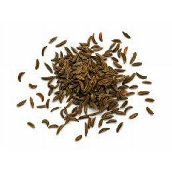Caraway Seeds, Herb, 100 Seeds, Non Gmo, You Can Use Seeds, Plant and Roots on This Herb
