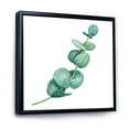 thumbnail image 3 of Designart 'Young Eucalyptus Branches and Leaves II' Traditional Framed Canvas Wall Art Print, 3 of 5