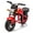 Red, variant on Track Seven 24V Electric Motorcycle for Kids, 300W Electric Dirt Bike Up to 11 MPH, Twist-Grip Throttle, Rear Brake, 14-Inch EVA Tires, Music, Light, Electric Bike for Kids Aged 6+, Pink