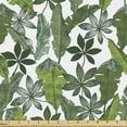 thumbnail image 1 of Botanical Upholstery Fabric by the Yard, Exotic Leaves Banana Areca Palm Monstera Branches Drawing in Nature Tones, Decorative Fabric for DIY and Home Accents, Olive Green White by Ambesonne, 1 of 5