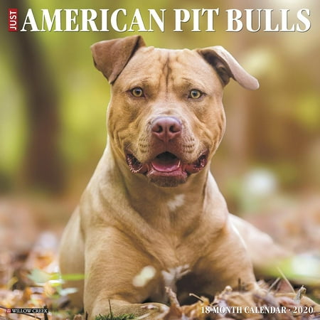 Just American Pit Bull Terriers 2020 Wall Calendar (Dog Breed Calendar)