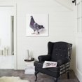 thumbnail image 2 of Homing Pigeon in Studio, Animals Unframed Photographic Print Wall Art Sold by Art.Com, 2 of 4