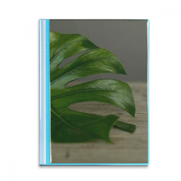 Table Picture Nature Book Sheet Protectors Portfolio Binder Folder