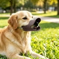 thumbnail image 4 of Breathable Duck Shaped Dog Mouth Muzzle, Flexible Adjustable Soft Pet Muzzle for Small Medium Dogs Walking Grooming, 4 of 9