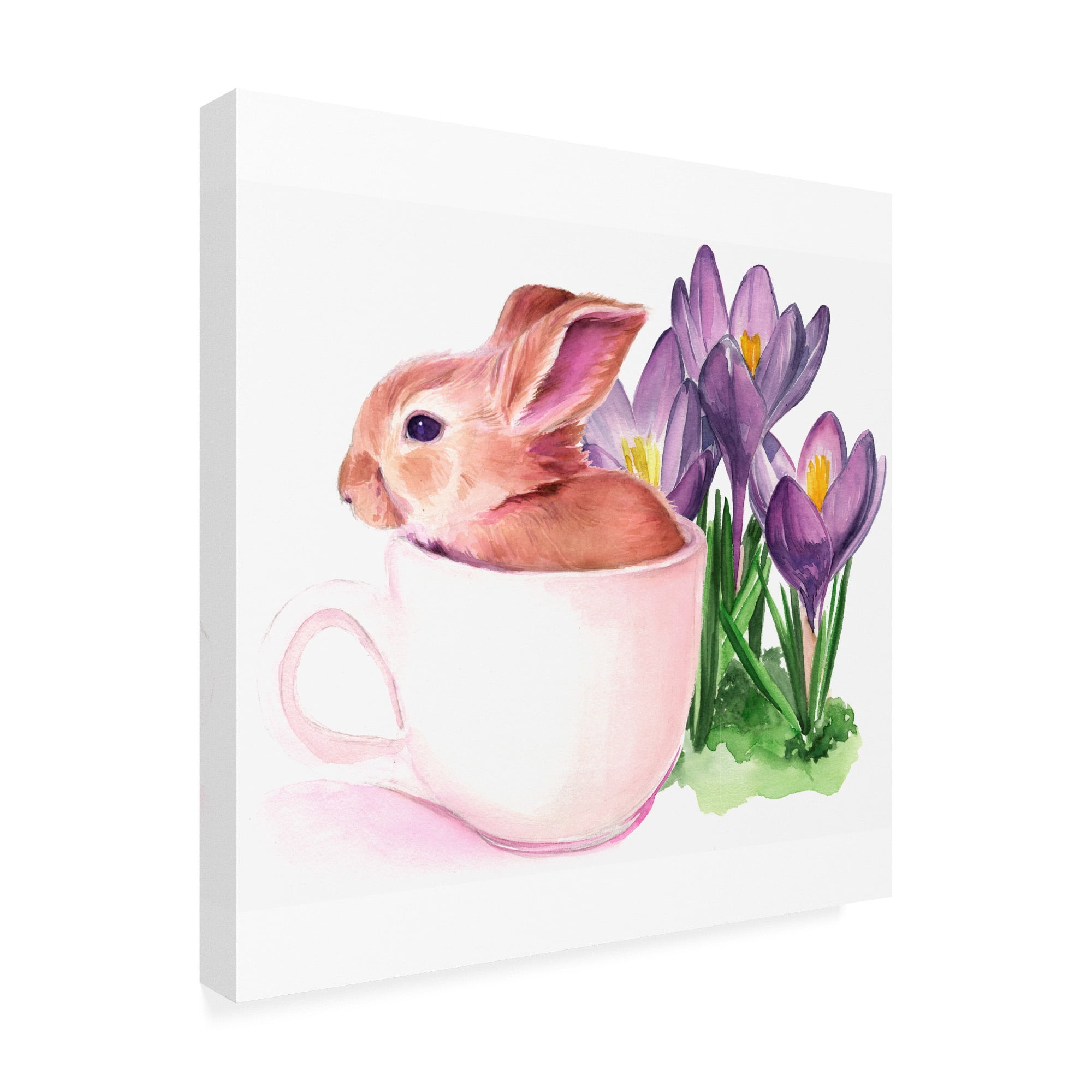 Trademark Fine Art 'Bunny Crossing I' Canvas Art by Jennifer Paxton Parker