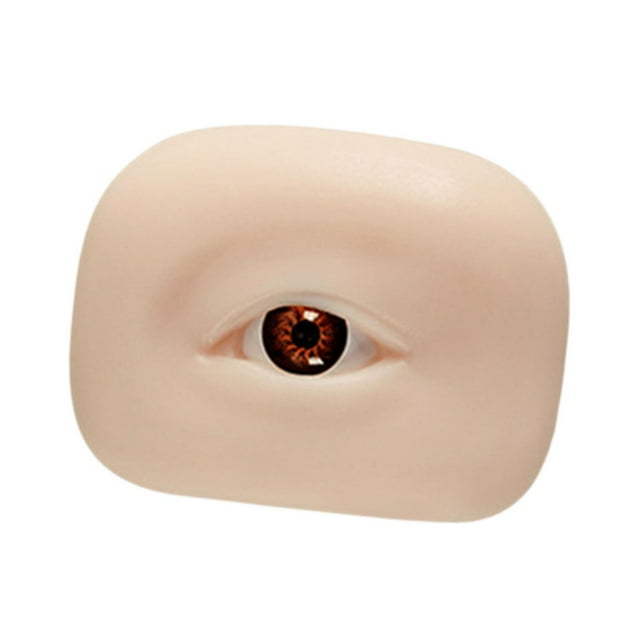 Tabla de práctica de maquillaje de modelo de ojo de silicona multiusos resistente conveniente suave para marrón a la derecha
