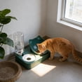 thumbnail image 4 of SHENGXINY Cat Bowl Set - 2 in 1 Stainless Steel Automatic Gravity Water Dispenser, Leakproof Clean Pet Feeder for Small Medium Dogs & Cats Green 9.65x1.97x5.31in, 4 of 6