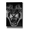 thumbnail image 1 of Epic Graffiti 'Fury' by Barbara Keith, Canvas Wall Art, 12"x18", 1 of 8