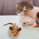 thumbnail image 1 of Ratón automático interactivo para gatos de interior, juguete para gatos, suministros para mascotas, evitación de obstáculos inteligente, juguetes para Marrón, 1 of 8