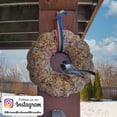 thumbnail image 6 of Birdseed Wreath for Blue Jays, Cardinals, Finches and Other Songbirds (Blue/Silver Stars Ribbon), 6 of 9