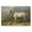 Grey Horse Landscape Ducks, variant on Stupell Industries Rustic Lodge Content Horses In Pasture Birch Framed Print Under Glass, 20 x 14, by Danita Delimont