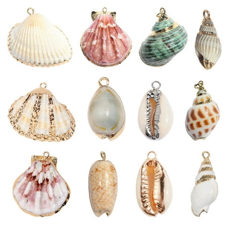

NUOLUX 12pcs Shells Jewelry Accessories DIY Natural Shells Manual Jewelry Accessories(Mixed)
