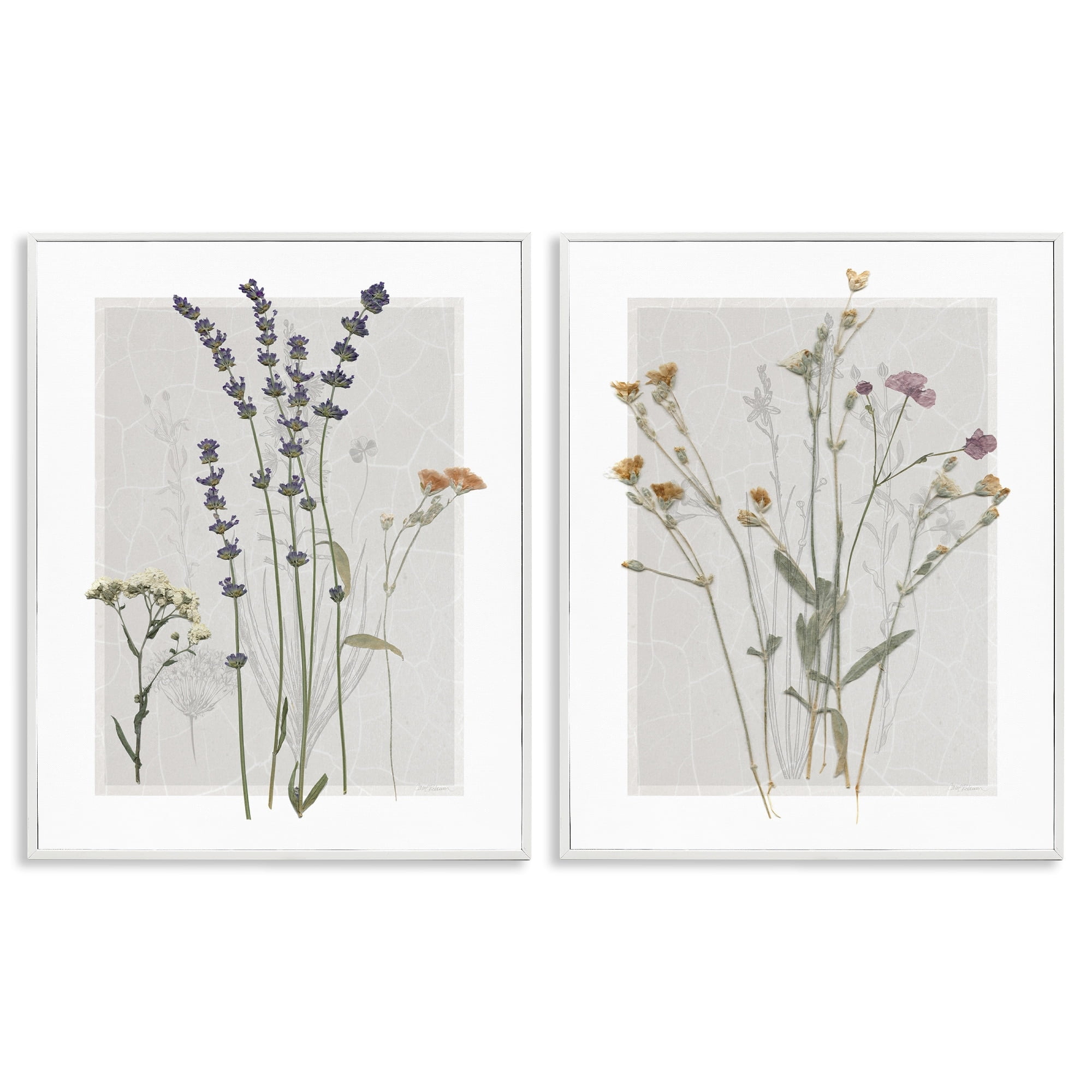 Stupell Industries Delicate Wildflower Herb Sprigs Lavender Nature Botanicals Graphic Art White Framed Art Print Wall Art, Set of 2, Design by Carol Robinson