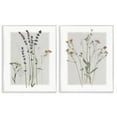 thumbnail image 5 of Stupell Industries Delicate Wildflower Herb Sprigs Lavender Nature Botanicals Graphic Art White Framed Art Print Wall Art, Set of 2, Design by Carol Robinson, 5 of 5