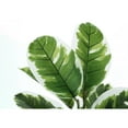 thumbnail image 4 of Monarch Artificial Plant, 27 Tall, Rubber, Indoor, Faux, Fake, Table, Greenery, Potted, 4 of 5