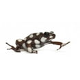 thumbnail image 2 of Maranon Poison Frog Wall Decal Wallmonkeys Peel and Stick Animal Graphics (12 in W x 5 in H) WM502940, 2 of 4