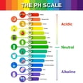 thumbnail image 4 of BotaniNest Universal PH Test Strips Cabess Wide Range 1 For Accurate Acidity & Alkalinity Measurement, 4 of 7