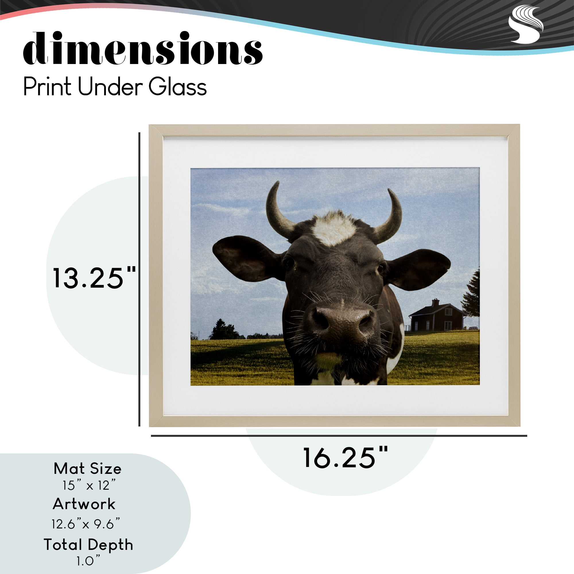 Stupell Industries Farm Cow with Curved Horns Birch Framed Print Under Glass, design by Marcus Prime
