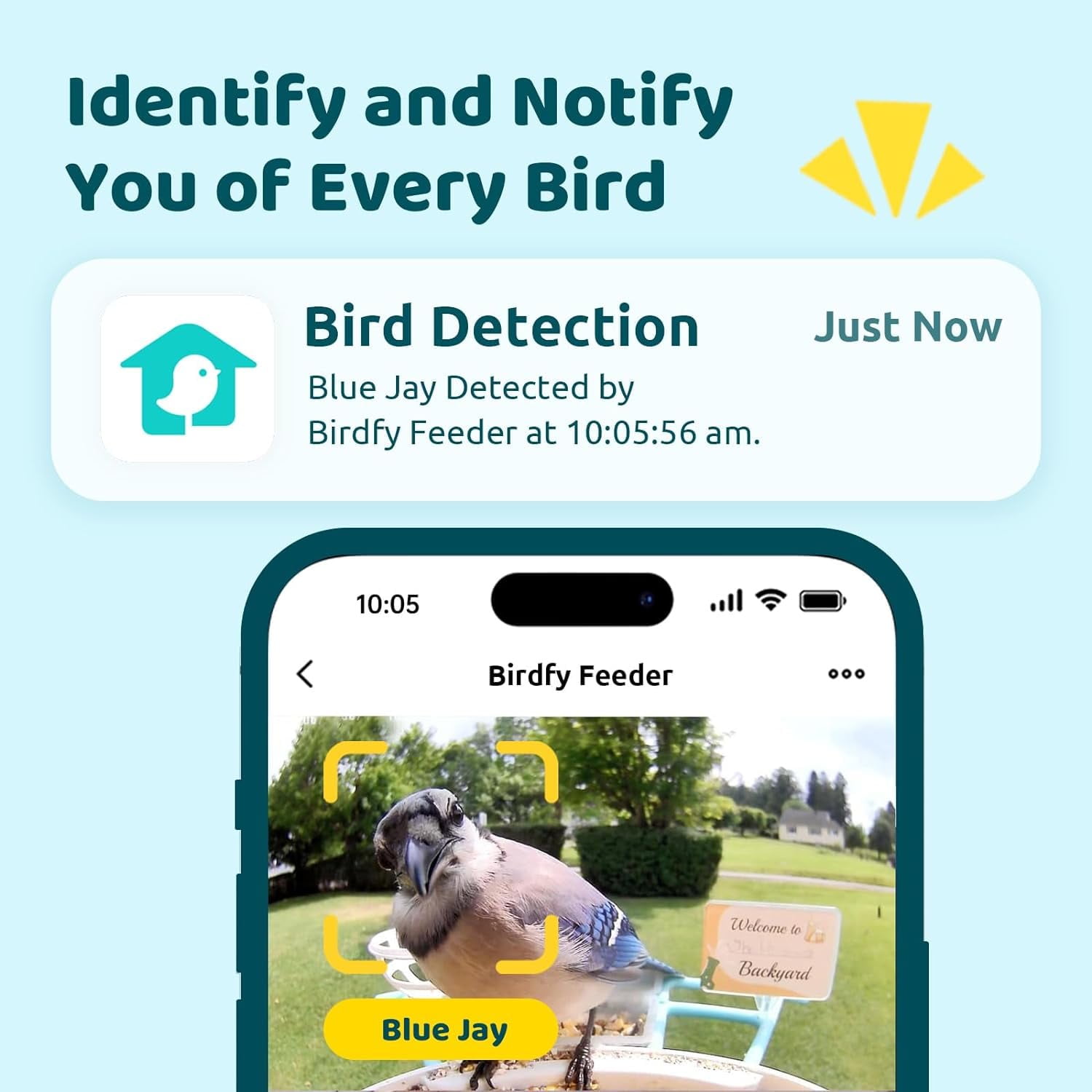 Netvue Birdfy Smart Bird Feeder with Camera and AI Bird Identification by Subscription - Christmas Packaging Perfect Gift for Bird Lovers