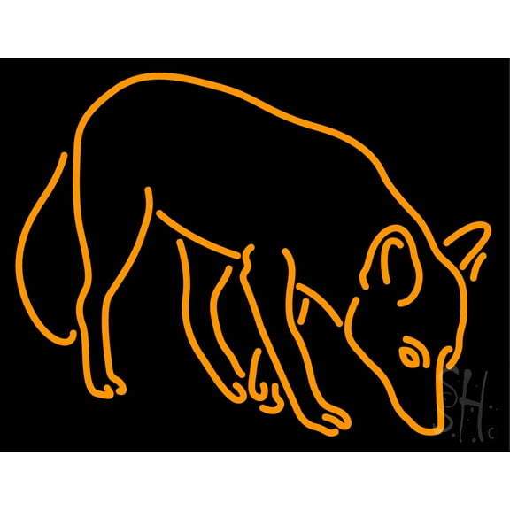 Orange Fox LED Neon Sign 15" Tall x 19" Wide - inches Black Square Cut Acrylic Backing, with Dimmer - Premium built indoor Sign for Club, Home décor, Event, Workshop, Storefront.