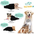 thumbnail image 2 of Junovo Luxury Velvet Fluffy Dog Blanket, Soft and Warm Pet Blankets, 30"x40" , Black, 2 of 5