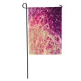 thumbnail image 1 of POGLIP Charming Pastel Abstract Rose Quartz Hades Spring Gives Concise Garden Flag Decorative Flag House Banner 28x40 inch, 1 of 2