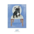 thumbnail image 2 of Frontline 12x14 Black Ornate Wood Framed with Double Matting Museum Art Print Titled - French Bull Dog Sitting, 2 of 4