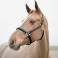 thumbnail image 2 of HORZE  Largo Leather Halter, Color: Black, Size: Pony (22136-BL-PONY), 2 of 3