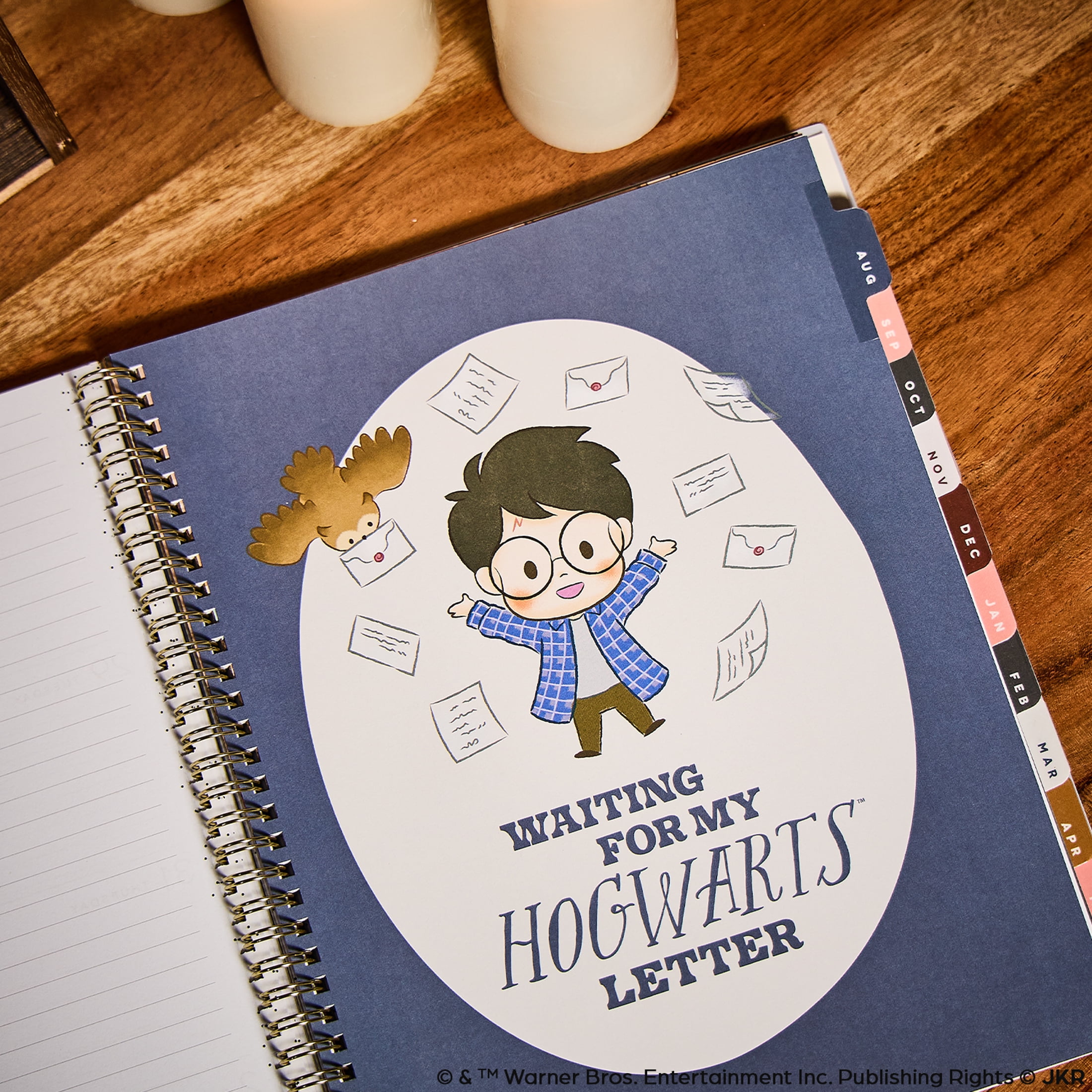 Organized by Happy Planner, Harry Potter Tiny Magic Big Dated Planner, (8.5" x 11"), 12 Month July 2025-June 2026, metal twin loop