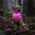 thumbnail image 5 of LaRoo Light Up Dog Collar With Nylon Stickers, Universal Glowing Accessories for Leash Harness, Silicone Waterproof LED Flashing Night Outdoor Safety, 5 of 5